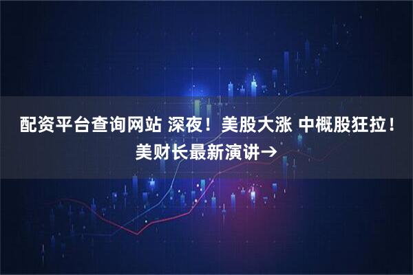 配资平台查询网站 深夜！美股大涨 中概股狂拉！美财长最新演讲→